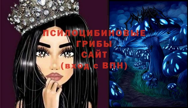 соль курить ск Ладушкин