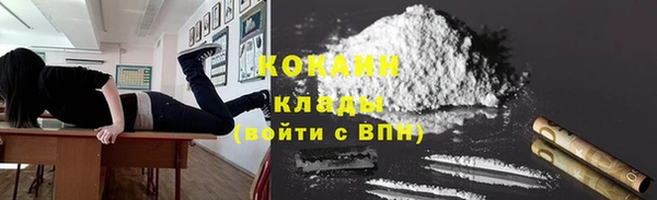 дурь Лабытнанги