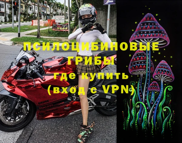 дурь Лабытнанги