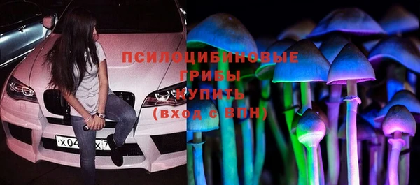соль курить ск Ладушкин