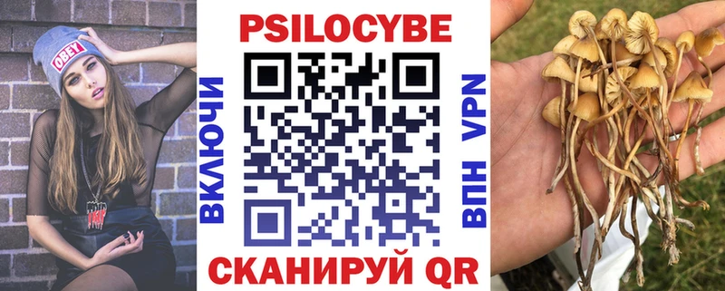 что такое наркотик Южно-Сахалинск Галлюциногенные грибы Psilocybine cubensis