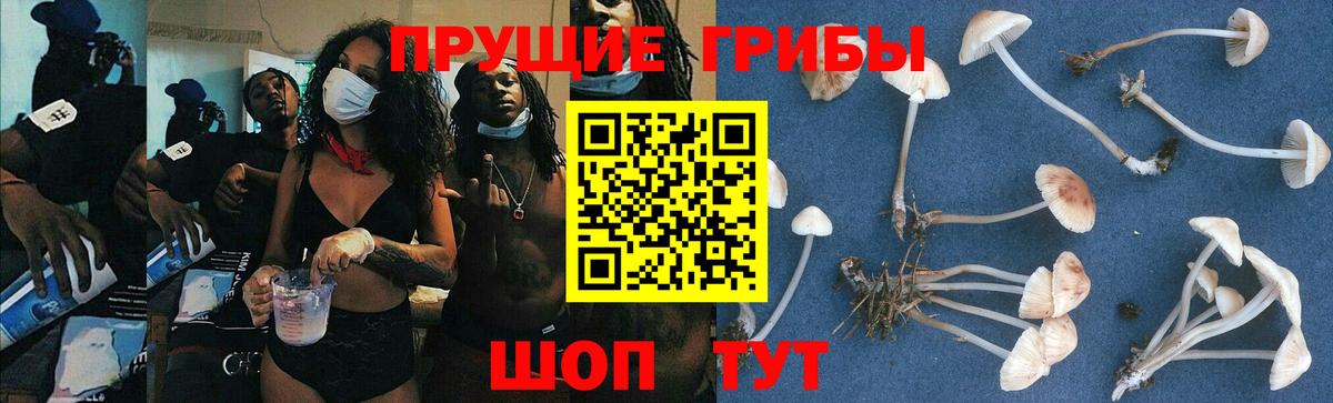 Псилоцибиновые грибы мухоморы  Вход с VPN  Южно-Сахалинск 